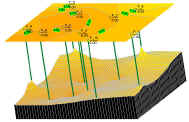 3DField