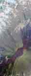 new_hi11_10_06_02