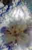 new_hi12_05_03_01