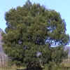 t3_256.png (145267 bytes)