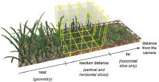 Grass1