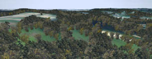 NDVI
