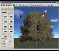speedtree