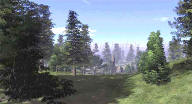 speedtree