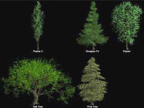 Arboreteum