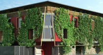 http://graphics.uni-konstanz.de/~luft/ivy_generator/images/Vitek_Lasota_01.jpg