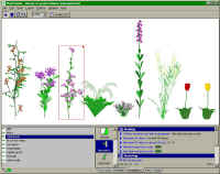 Plant studio