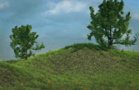 Sapling