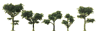 TreesDesigner